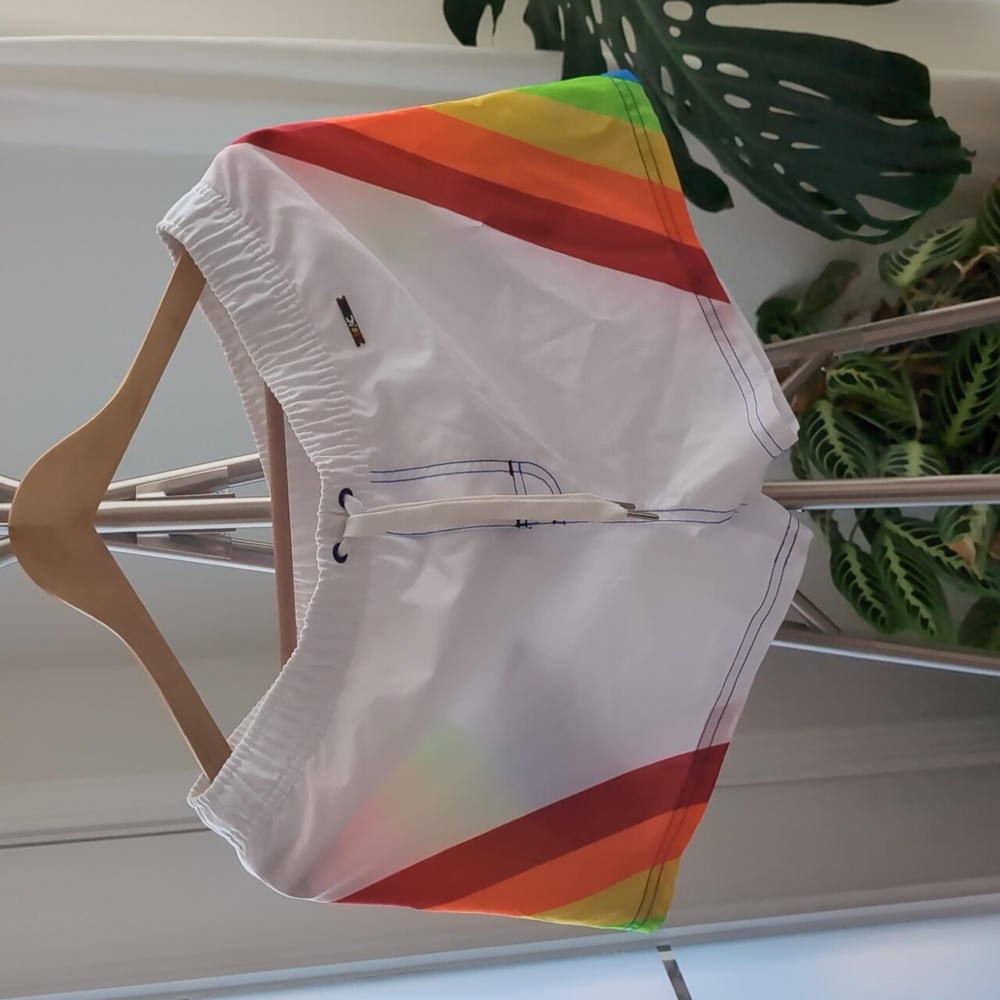 NWT AC pride swim trunks